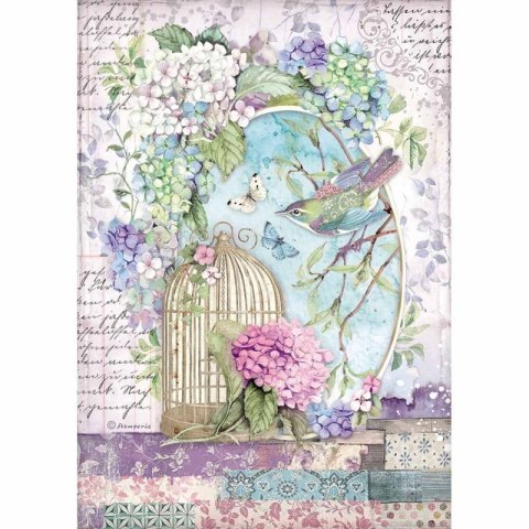Stamperia Papier ryżowy A4 DFSA4472