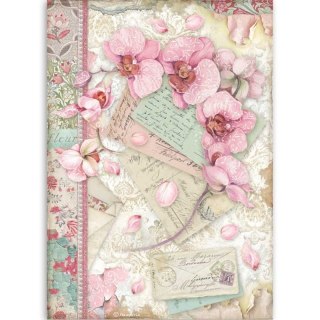 Stamperia Papier ryżowy A4 DFSA4512