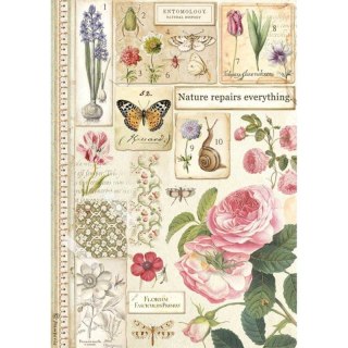 Stamperia Papier ryżowy A4 DFSA4623