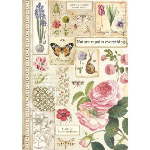 Stamperia Papier ryżowy A4 DFSA4623