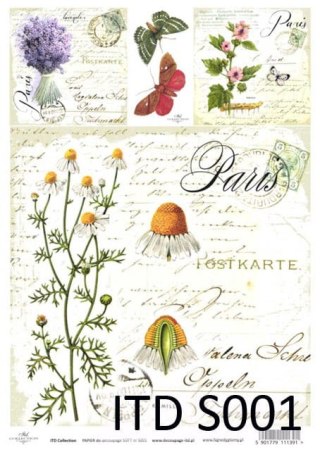 ITD Papier soft A4 ITDS001