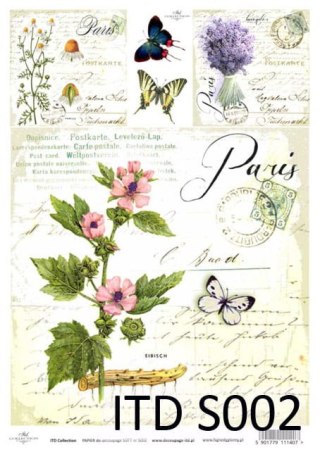 ITD Papier soft A4 ITDS002