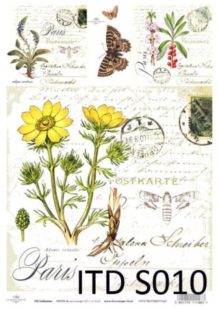 ITD Papier soft A4 ITDS010