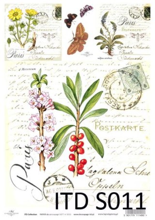 ITD Papier soft A4 ITDS011