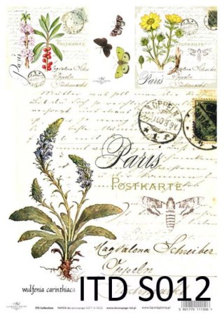 ITD Papier soft A4 ITDS012