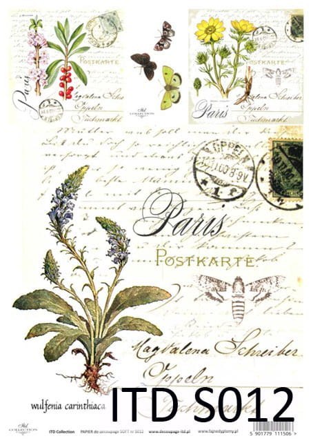 ITD Papier soft A4 ITDS012