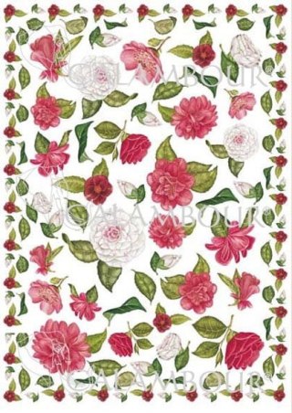 Papier klasyczny Calambour 50x70cm CAL04