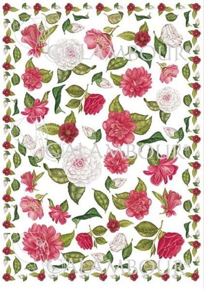 Papier klasyczny Calambour 50x70cm CAL04