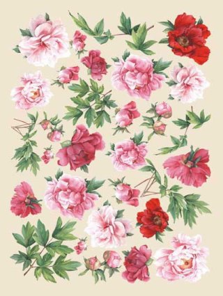 Papier klasyczny Calambour 50x70cm CAL085