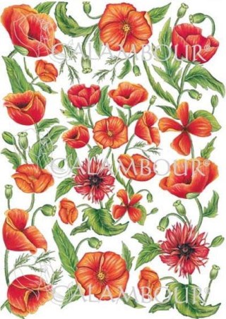 Papier klasyczny Calambour 50x70cm CAL133