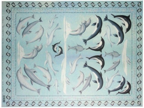 Papier klasyczny Calambour 50x70cm CAL153