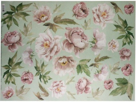 Papier klasyczny Calambour 50x70cm CAL154