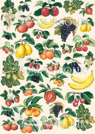 Papier klasyczny Calambour 50x70cm CAL164