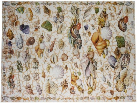 Papier klasyczny Calambour 50x70cm CAL234