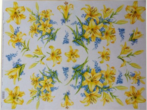 Papier klasyczny Calambour 50x70cm CAL237