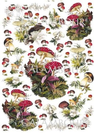 Papier klasyczny Calambour 50x70cm CAL247
