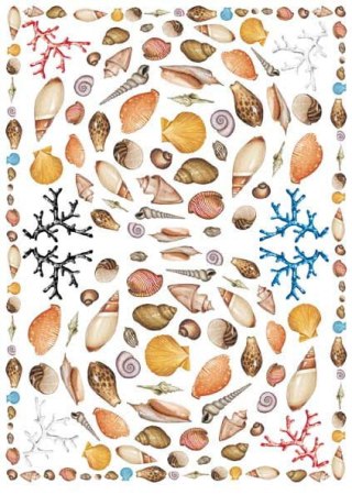 Papier klasyczny Calambour 50x70cm EASY016
