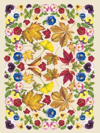 Papier klasyczny Calambour 50x70cm EASY051