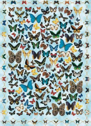Papier klasyczny Calambour 50x70cm EASY058