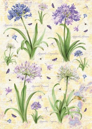 Papier klasyczny Calambour 50x70cm EASY303