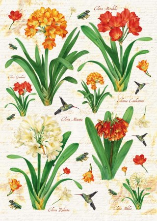 Papier klasyczny Calambour 50x70cm EASY304