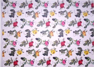 Papier klasyczny GT ok. 50x70cm GT110