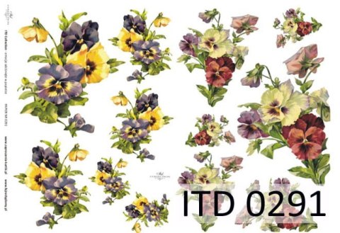 Papier klasyczny ITD A3 0291