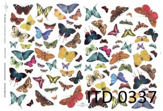 Papier klasyczny ITD A3 0337