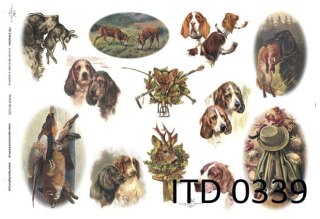 Papier klasyczny ITD A3 0339