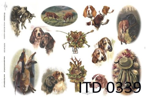 Papier klasyczny ITD A3 0339