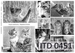 Papier klasyczny ITD A3 451