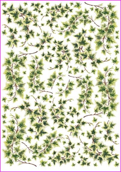 Papier ryżowy Calambour 30.5x42 cm PAU19