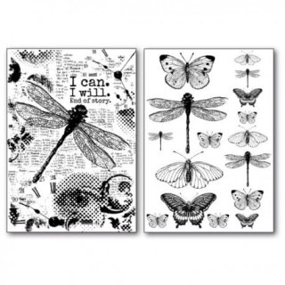 Stamperia Papier do transferu 2szt A4 DFTR063