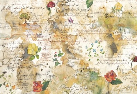 Stamperia Papier ryżowy 48x33cm DFS018