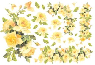 Stamperia Papier ryżowy 48x33cm DFS046