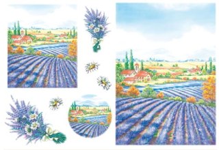 Stamperia Papier ryżowy 48x33cm DFS051