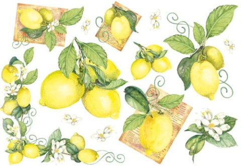 Stamperia Papier ryżowy 48x33cm DFS059