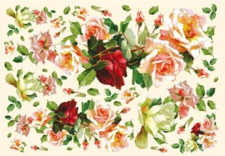 Stamperia Papier ryżowy 48x33cm DFS130