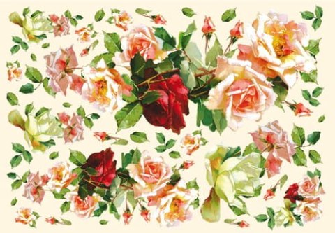 Stamperia Papier ryżowy 48x33cm DFS130