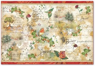 Stamperia Papier ryżowy 48x33cm DFS279