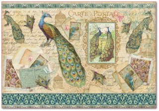 Stamperia Papier ryżowy 48x33cm DFS292