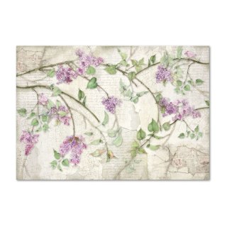 Stamperia Papier ryżowy 48x33cm DFS365
