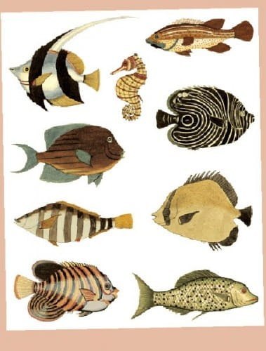 Kalkomania Arte KAL141