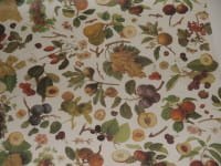 Kartos Papier klasyczny 50x70cm M18-6321