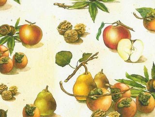 Kartos Papier klasyczny 50x70cm M18-7508