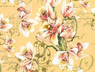 Kartos Papier klasyczny 50x70cm M18-7633