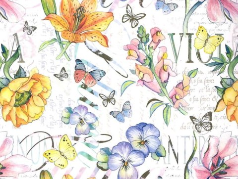 Kartos Papier klasyczny 50x70cm M18-7795