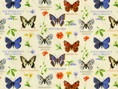 Kartos Papier klasyczny 50x70cm M18-7909