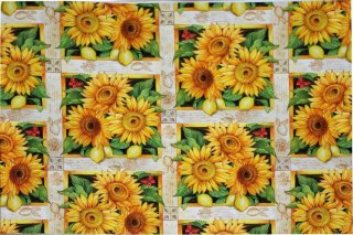 Kartos Papier klasyczny 50x70cm M18-7980