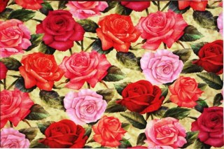 Kartos Papier klasyczny 50x70cm M18-8069